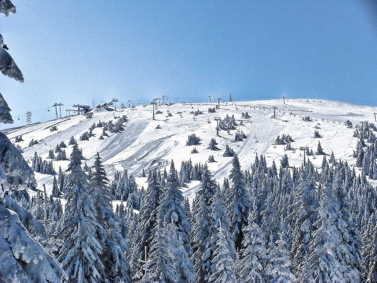 Kopaonik, Serbie. Photo : Ratko Bozovic (CC BY 2.0) ; redimensionnée et convertie en WebP.
